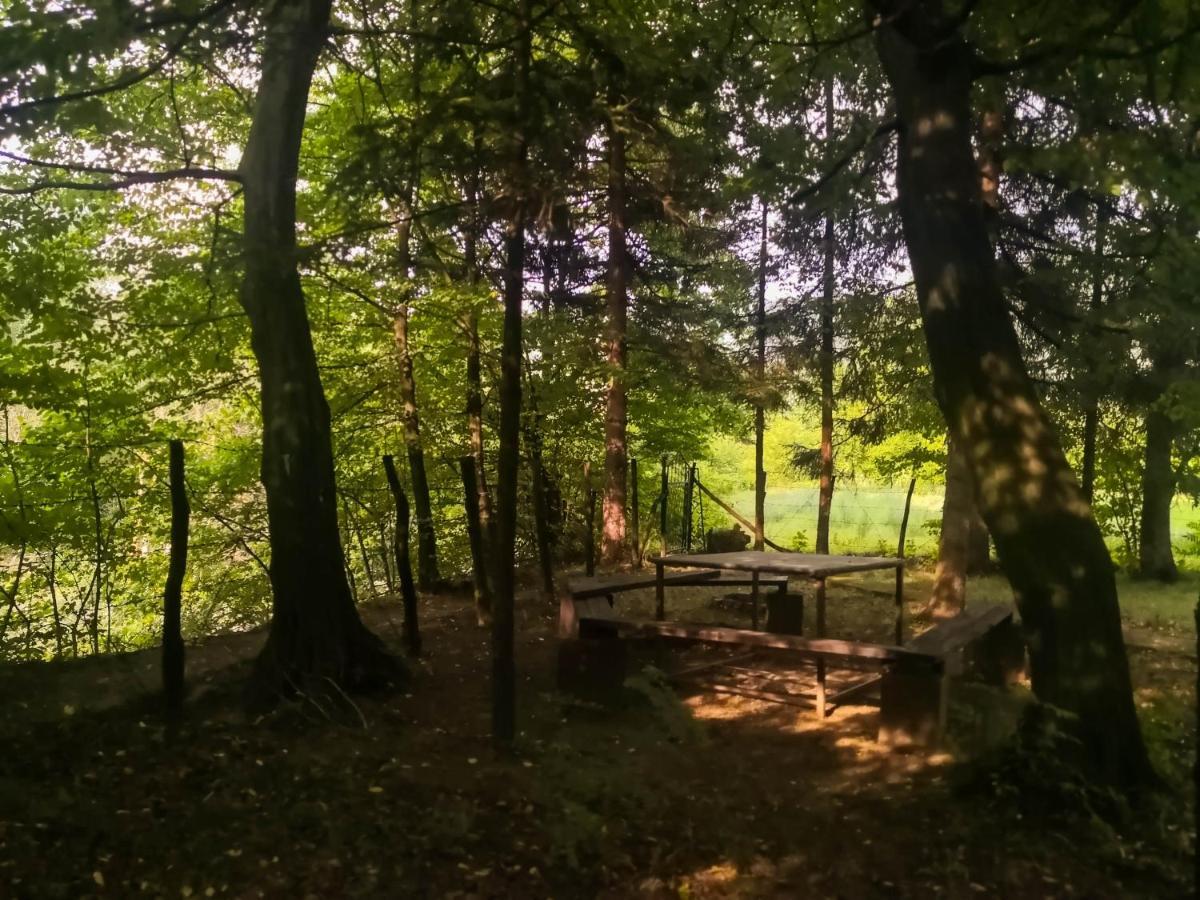 Lodge Zbilje Visoko, Bosnian Pyramids Экстерьер фото
