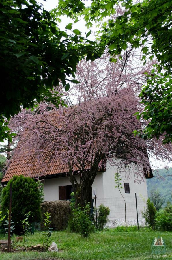 Lodge Zbilje Visoko, Bosnian Pyramids Экстерьер фото