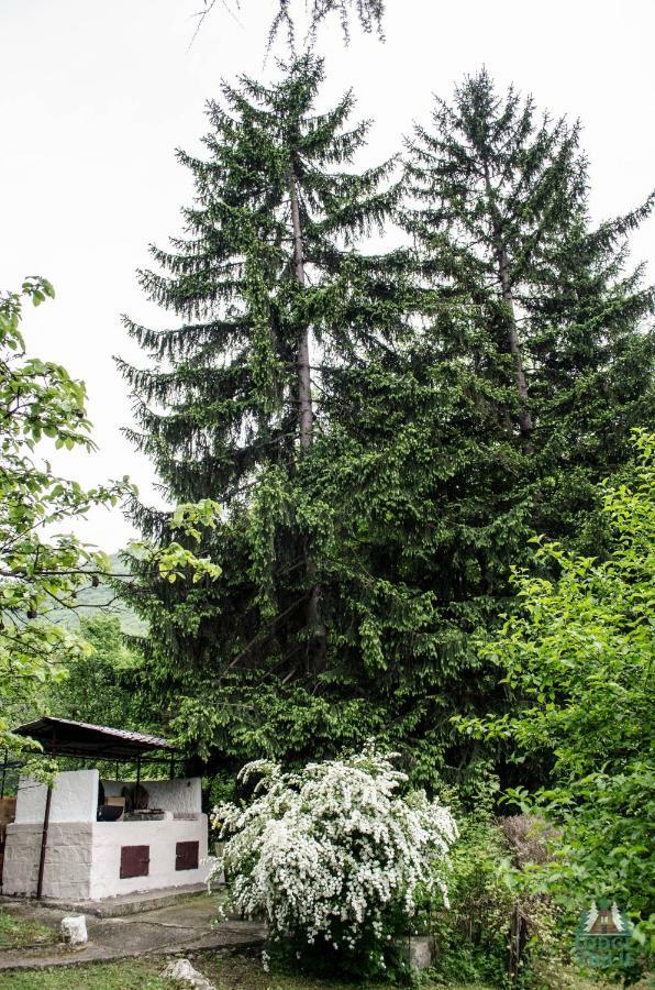 Lodge Zbilje Visoko, Bosnian Pyramids Экстерьер фото